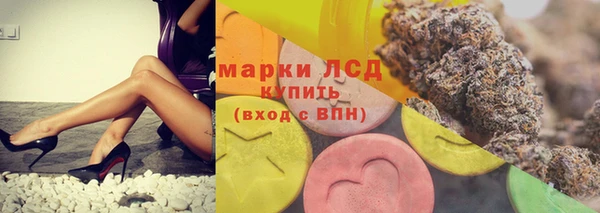 ГАЛЛЮЦИНОГЕННЫЕ ГРИБЫ Белоозёрский