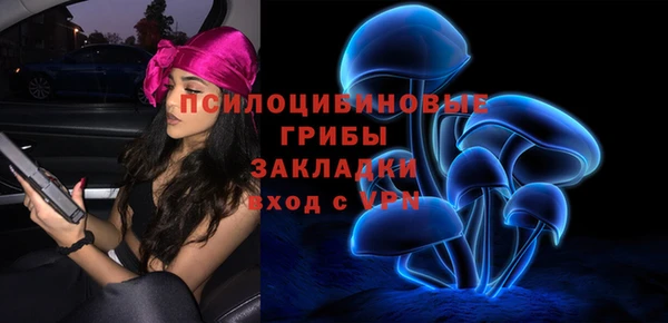 индика Белокуриха