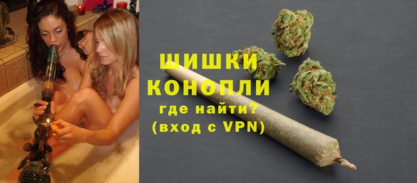 ГАЛЛЮЦИНОГЕННЫЕ ГРИБЫ Белоозёрский