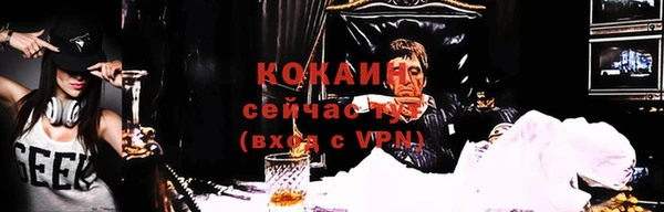 индика Белокуриха
