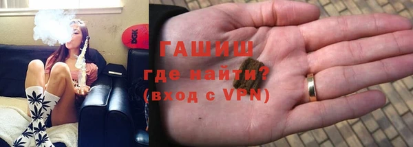 индика Белокуриха