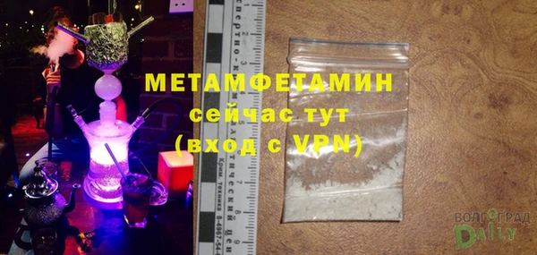 индика Белокуриха
