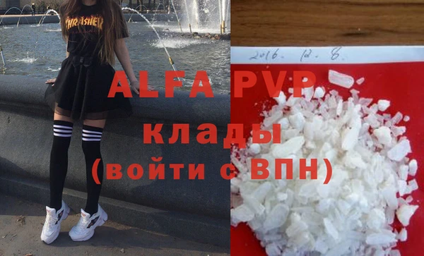 индика Белокуриха