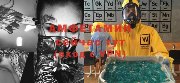 индика Белокуриха