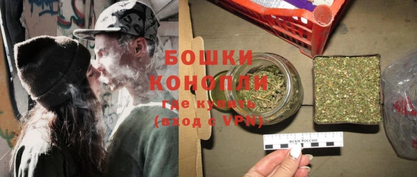 ГАЛЛЮЦИНОГЕННЫЕ ГРИБЫ Белоозёрский
