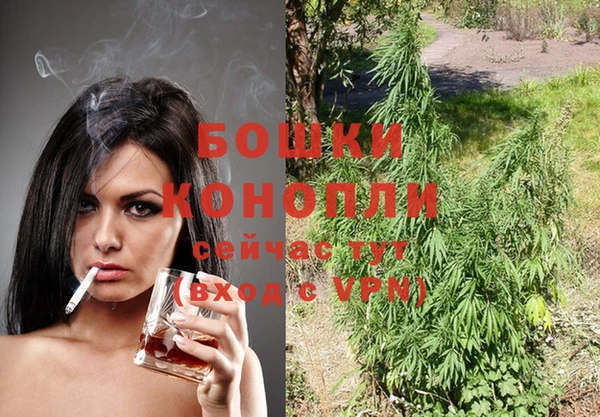 индика Белокуриха