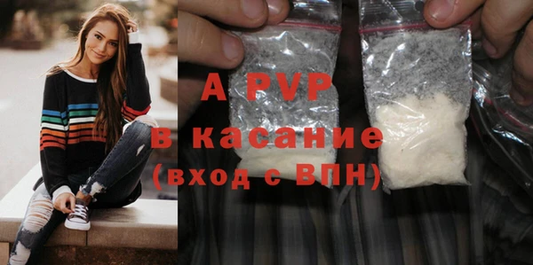 индика Белокуриха