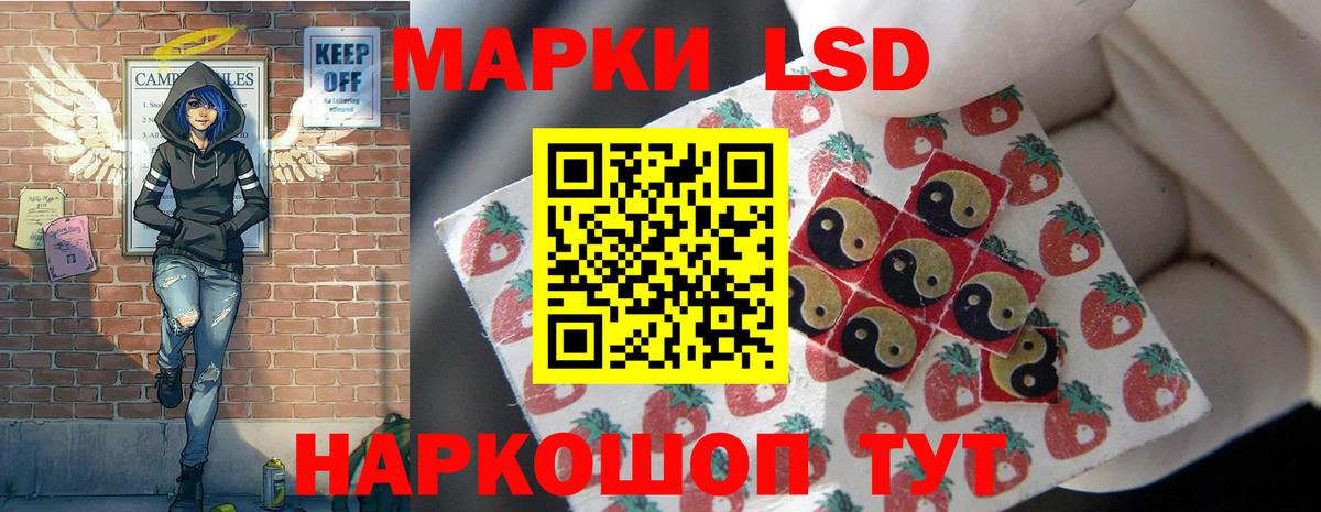 Вязники  ОМГ ОМГ ссылки  LSD-25 экстази кислота  Вход с VPN  Лсд 25 экстази кислота 