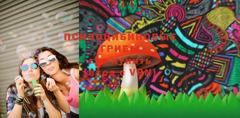 Галлюциногенные грибы Magic Shrooms  купить  цена  Вязники 