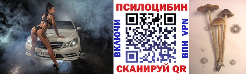 Псилоцибиновые грибы Cubensis  Вязники 