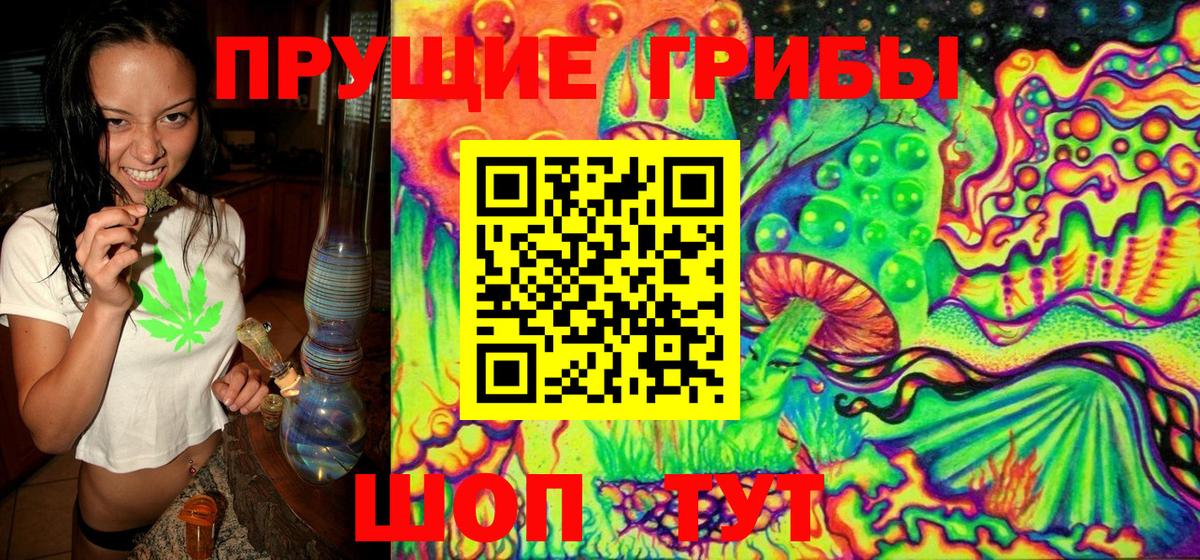 Галлюциногенные грибы GOLDEN TEACHER  Вязники  Псилоцибиновые грибы мицелий 