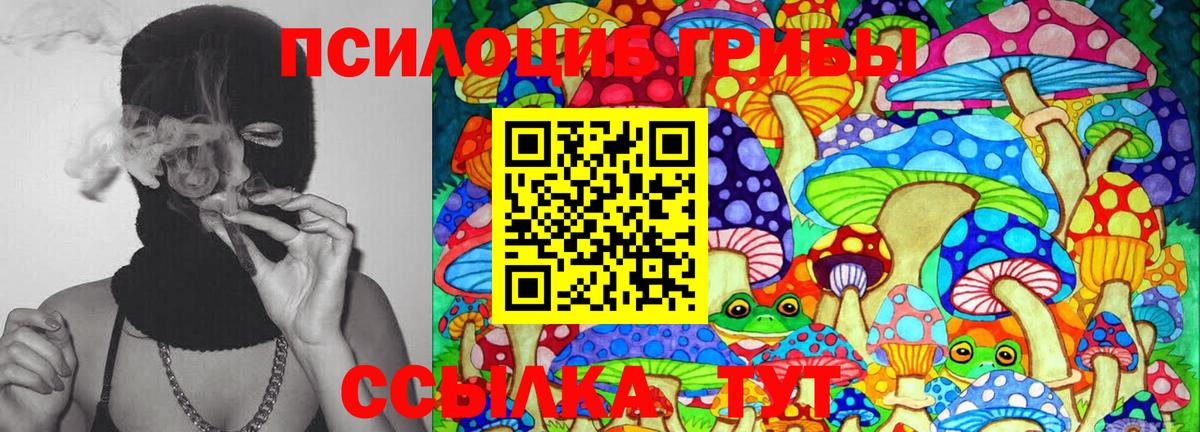 Галлюциногенные грибы Cubensis Вязники