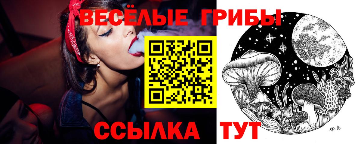 Галлюциногенные грибы ЛСД  Вход с VPN  Псилоцибиновые грибы Psilocybe  Вязники 